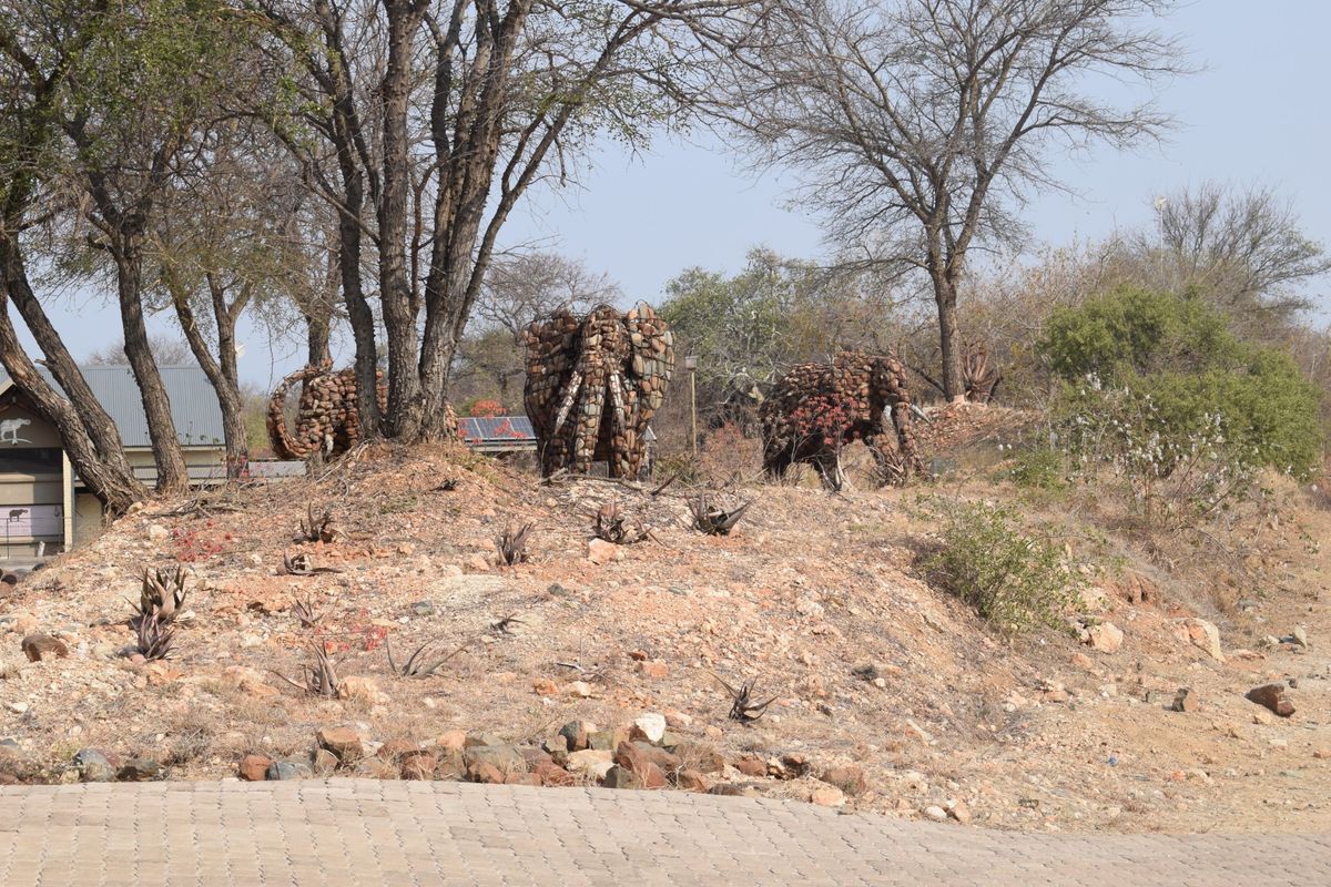 Vacant Land For Sale in Elephant Rock Eco Estate, Hoedspruit - Photo 4
