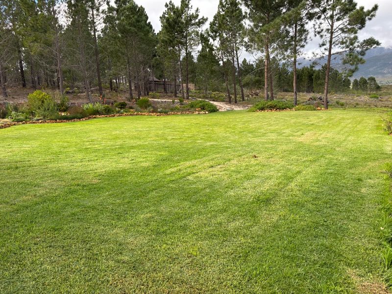 ONCE IN A LIFETIME ECO-HEALTH RETREAT AND FARM - Photo 6
