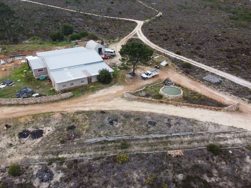 ONCE IN A LIFETIME ECO-HEALTH RETREAT AND FARM - Photo 8