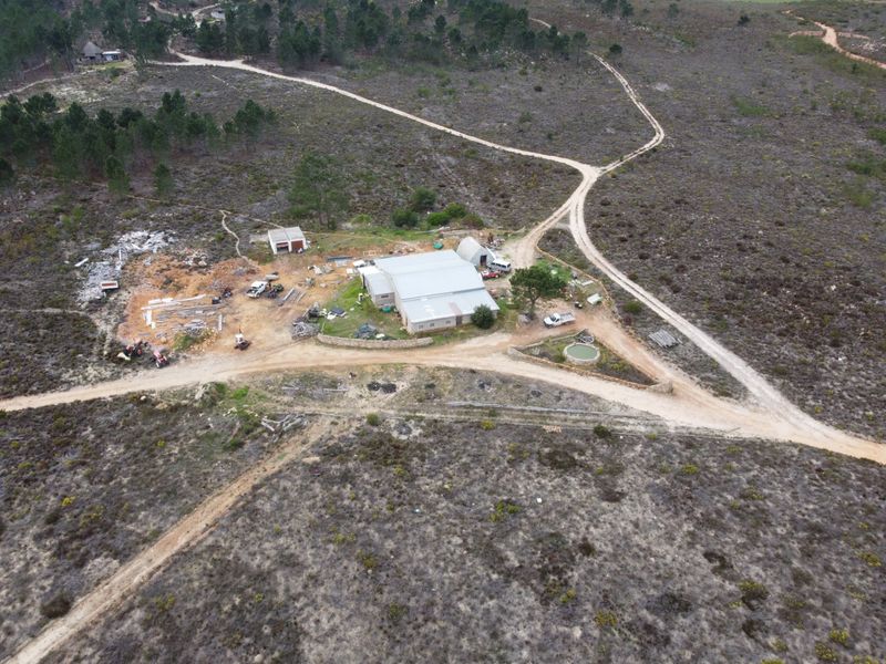 ONCE IN A LIFETIME ECO-HEALTH RETREAT AND FARM - Photo 7