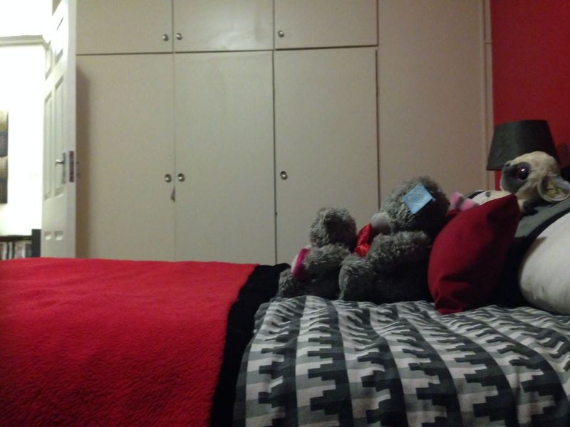 Spacious Ground Floor Unit for Rent - Photo 6