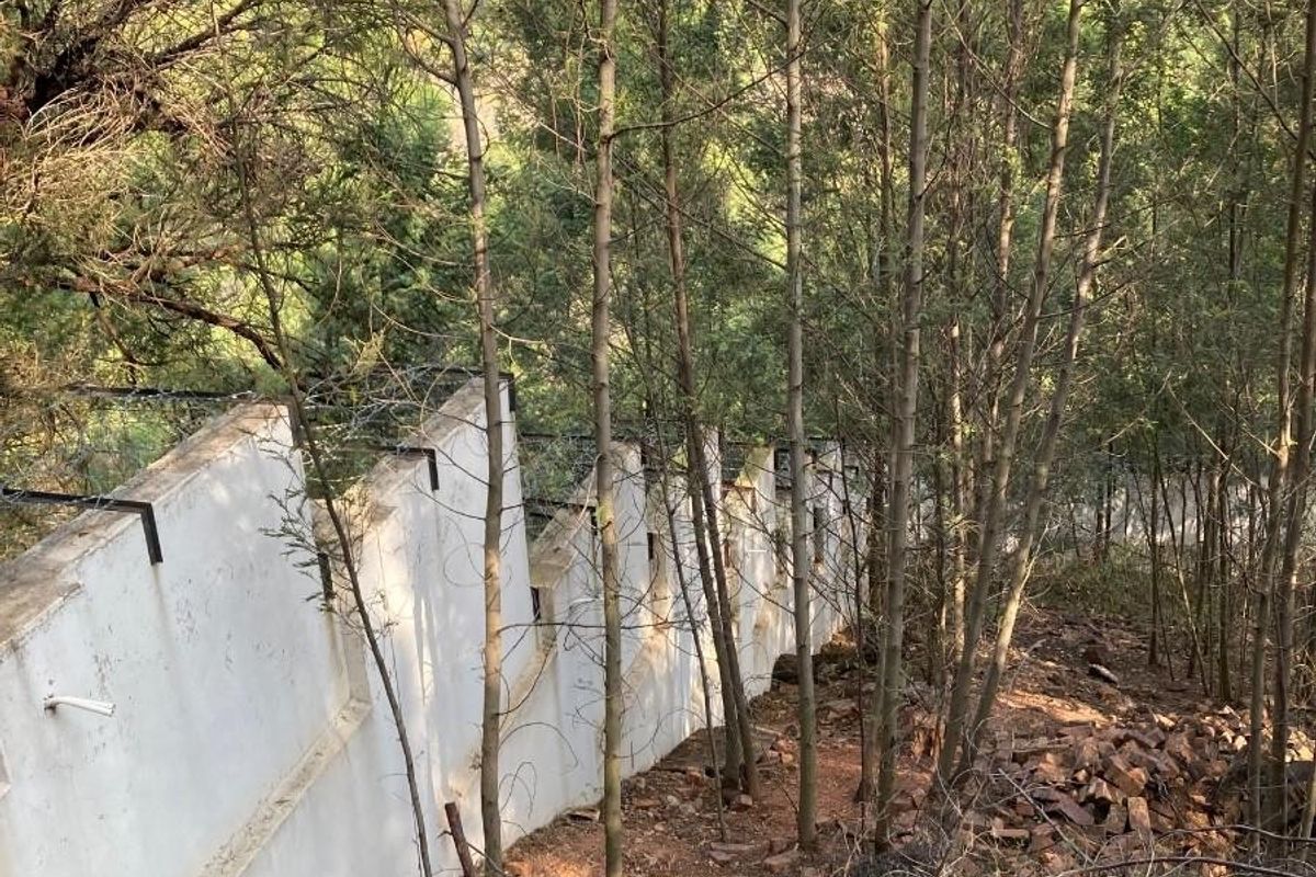 A view of a sloped residential plot featuring a stepped boundary wall, mature trees, and natural terrain, indicating a need for site clearing.