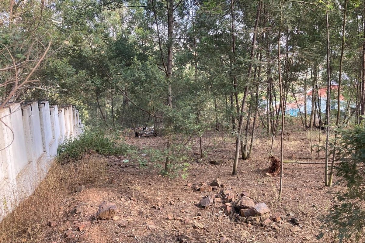 Vacant Land For Sale in Newlands, Pretoria - Photo 5