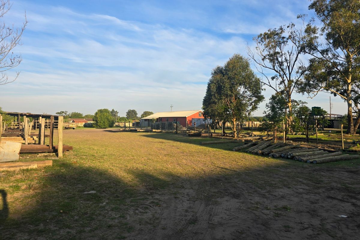 Expansive industrial yard area featuring open-sided timber structures and cleared land, suitable for various operational or storage purposes.