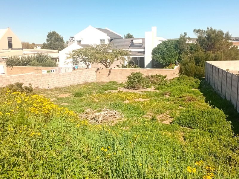 A vacant residential plot featuring boundary walls and overgrown natural vegetation, offering a blank canvas for future development.