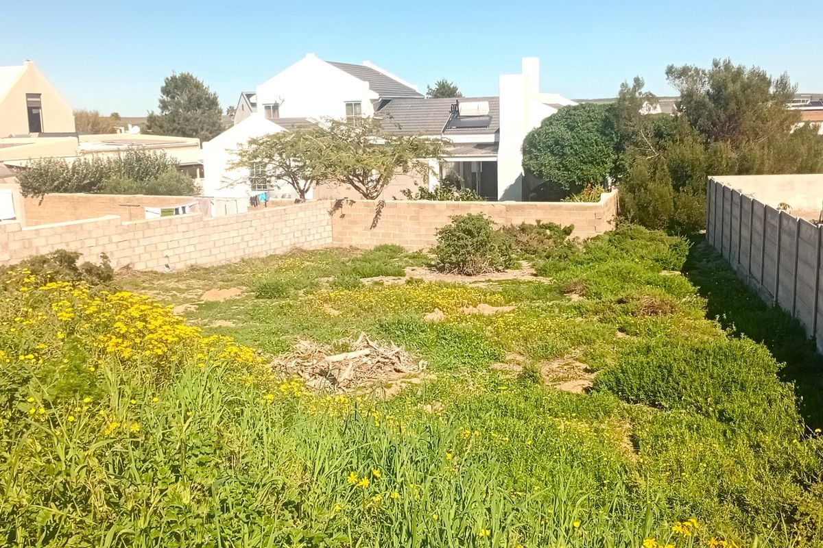 A vacant residential plot featuring boundary walls and overgrown natural vegetation, offering a blank canvas for future development.
