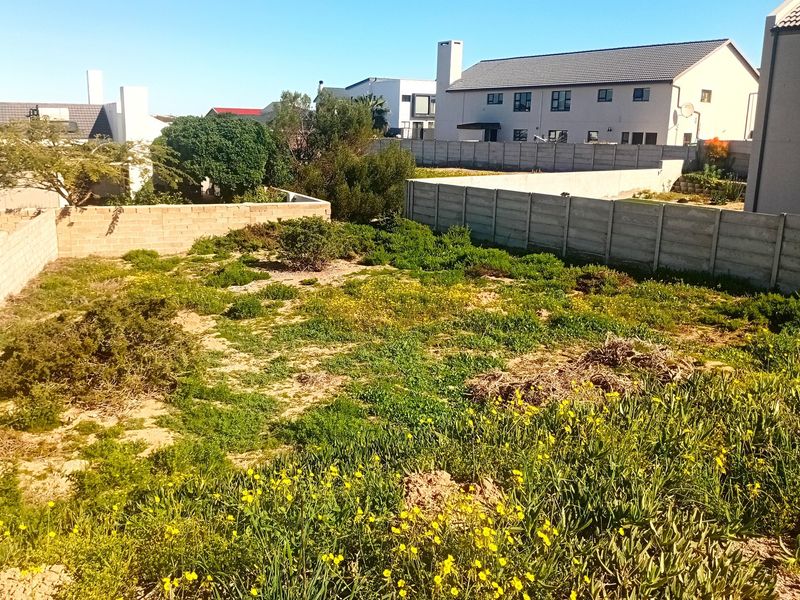 A vacant residential plot featuring established boundary walls and natural vegetation, situated within a developed suburban neighborhood.