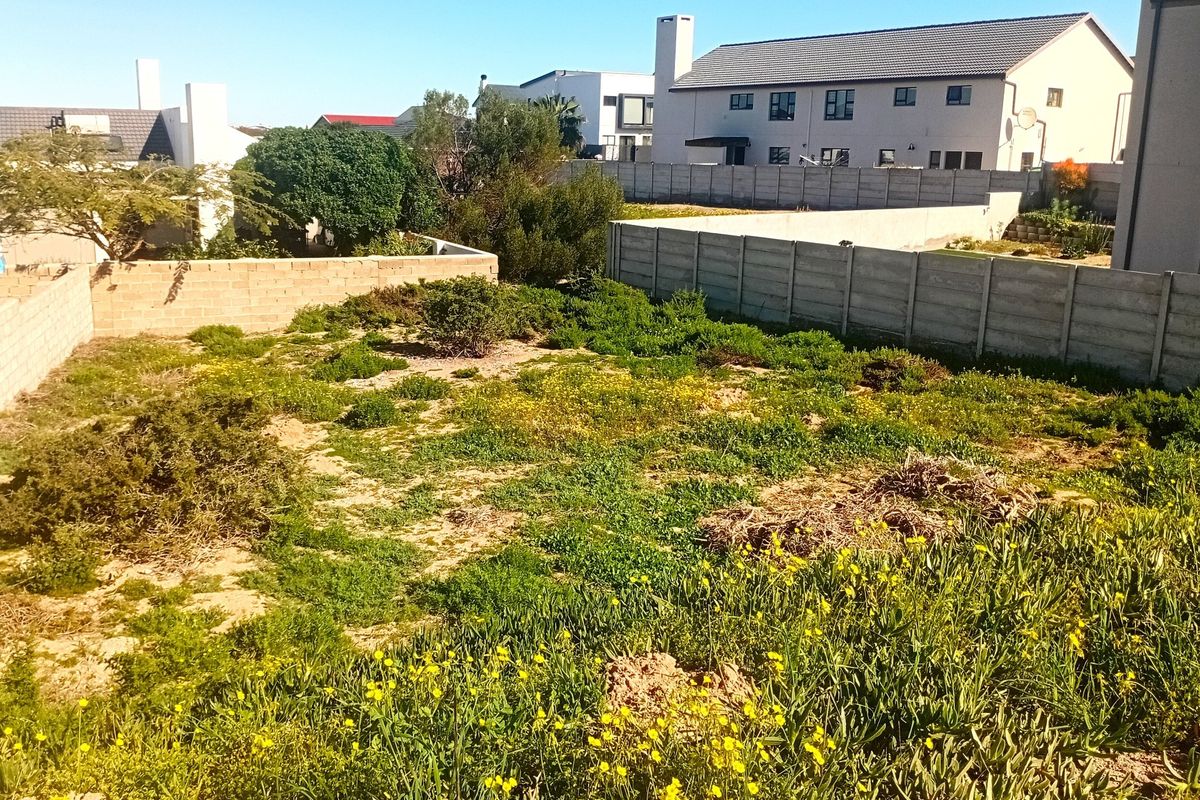 A vacant residential plot featuring established boundary walls and natural vegetation, situated within a developed suburban neighborhood.
