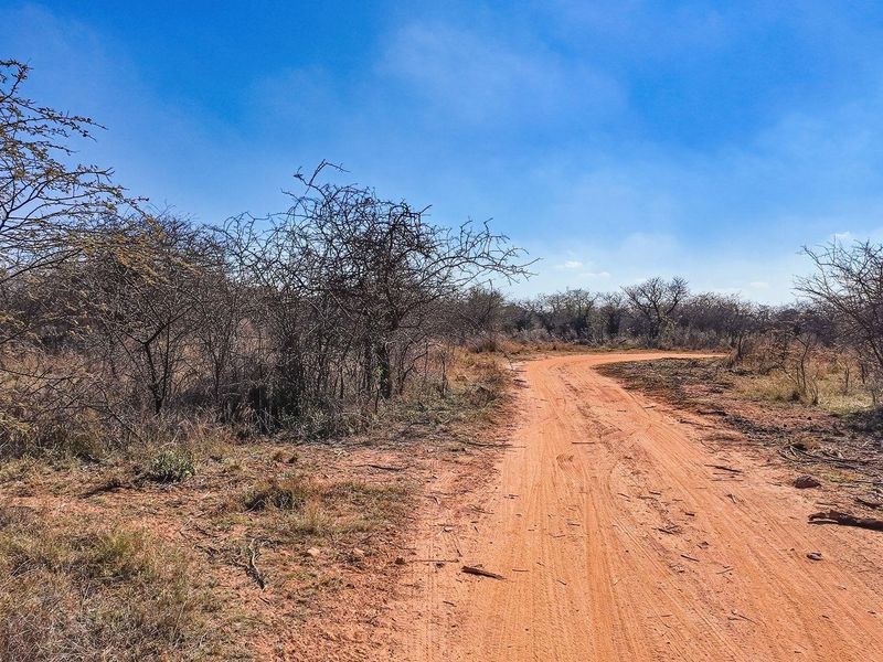 Vacant Land For Sale in Dinokeng Game Reserve, Wonderboom - Photo 8