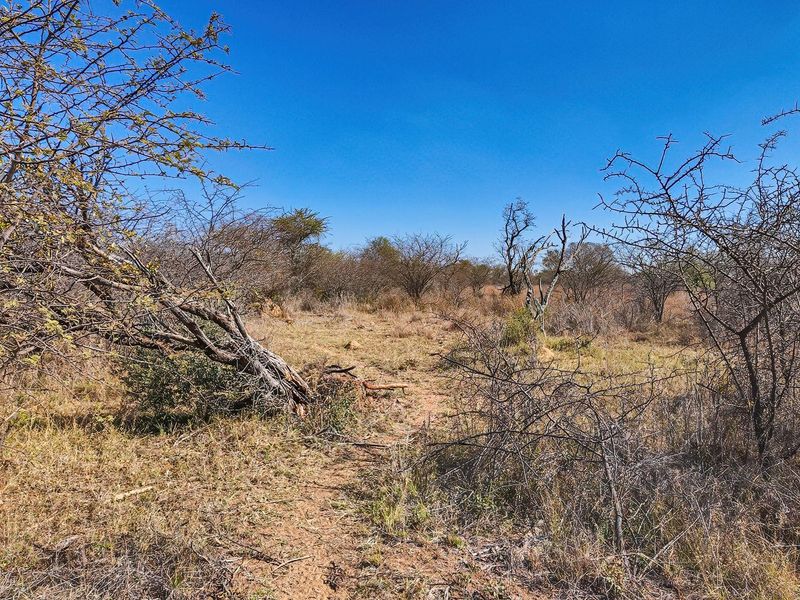 Vacant Land For Sale in Dinokeng Game Reserve, Wonderboom - Photo 9
