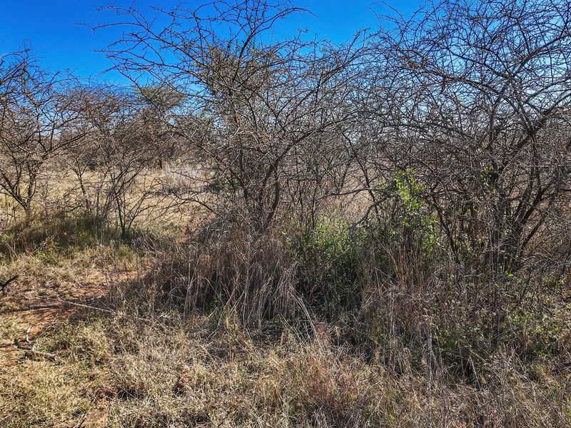 Vacant Land For Sale in Dinokeng Game Reserve, Wonderboom - Photo 1