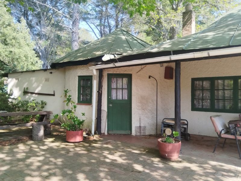 Rear exterior view of a cottage featuring a metal roof, brick paved patio area, and established garden surroundings.