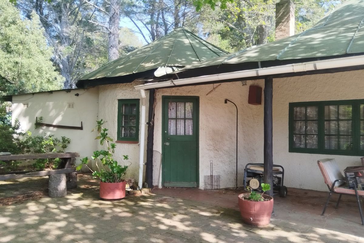 Rear exterior view of a cottage featuring a metal roof, brick paved patio area, and established garden surroundings.