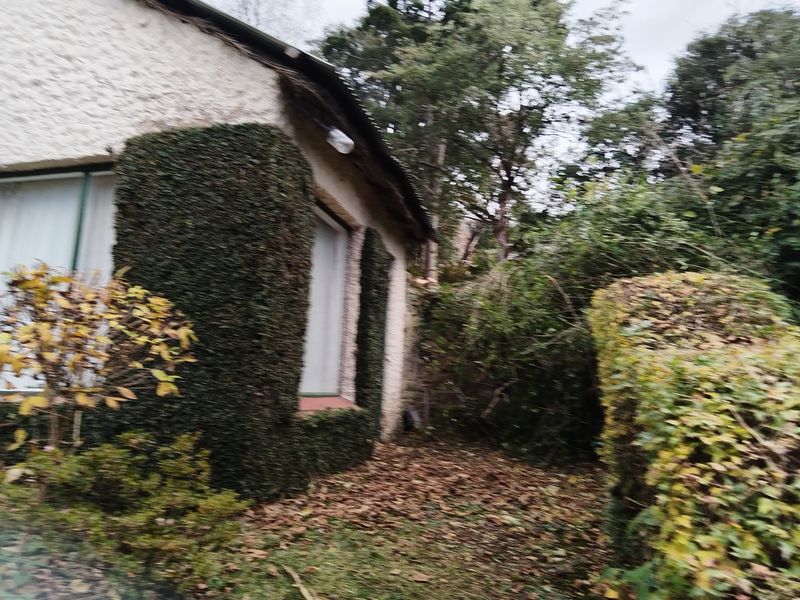 HOGSBACK HOME FOR SALE WITH MAGICAL GARDEN - Photo 2