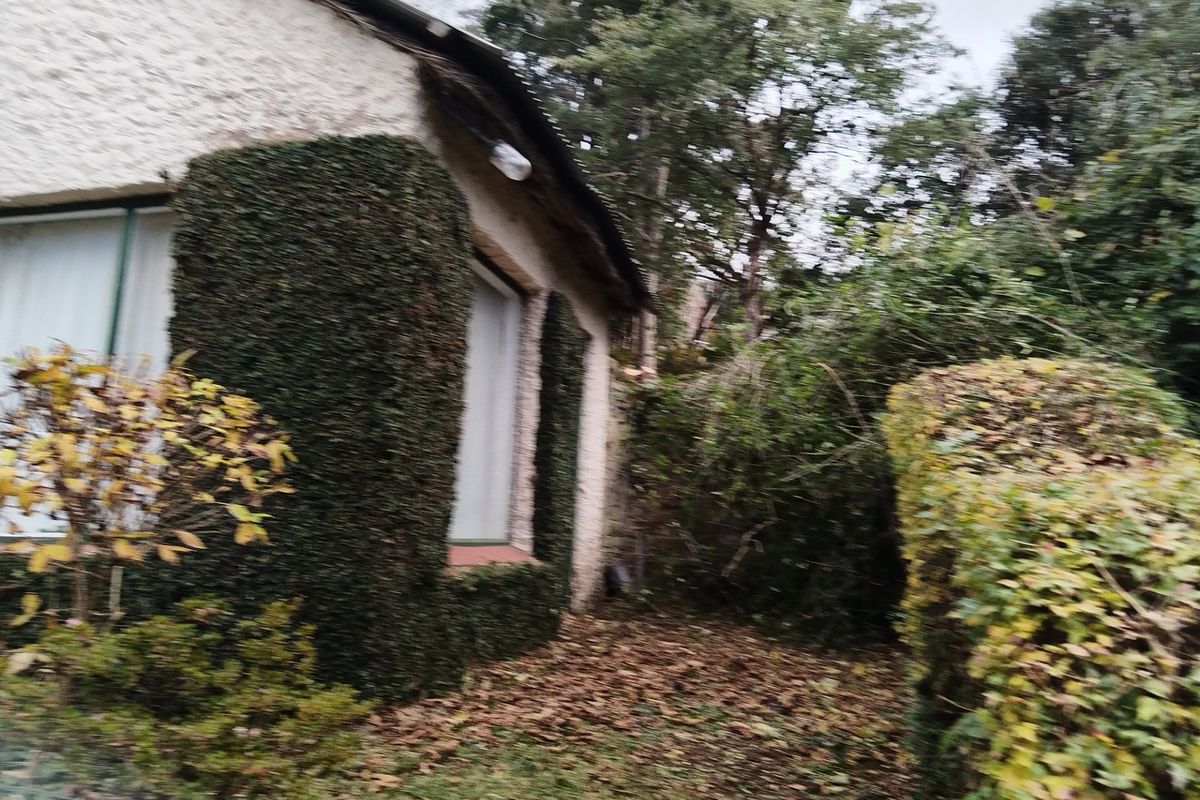 HOGSBACK HOME FOR SALE WITH MAGICAL GARDEN - Photo 2