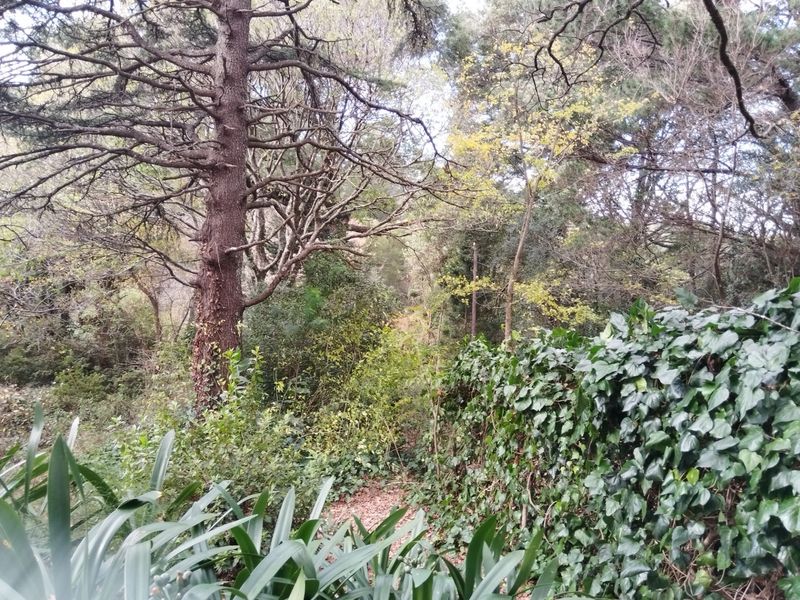 HOGSBACK HOME FOR SALE WITH MAGICAL GARDEN - Photo 5