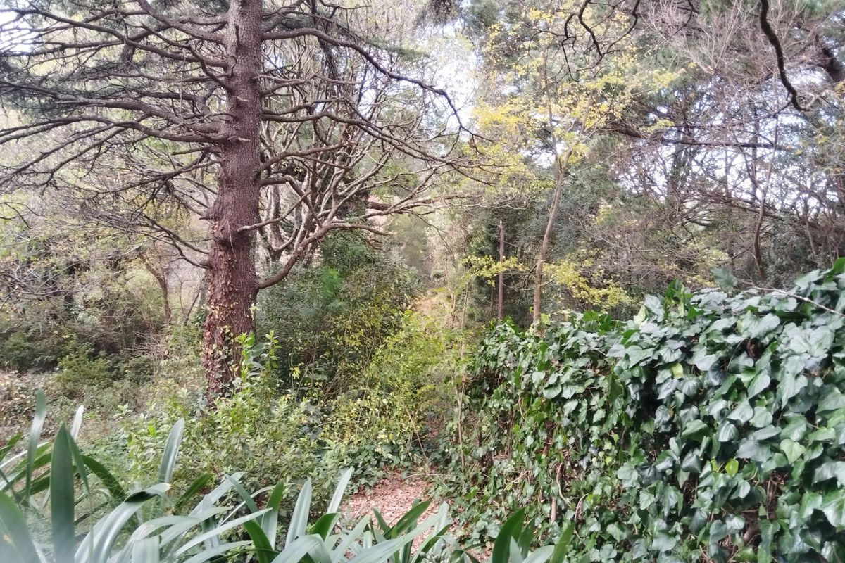 HOGSBACK HOME FOR SALE WITH MAGICAL GARDEN - Photo 5