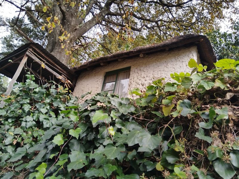 HOGSBACK HOME FOR SALE WITH MAGICAL GARDEN - Photo 4