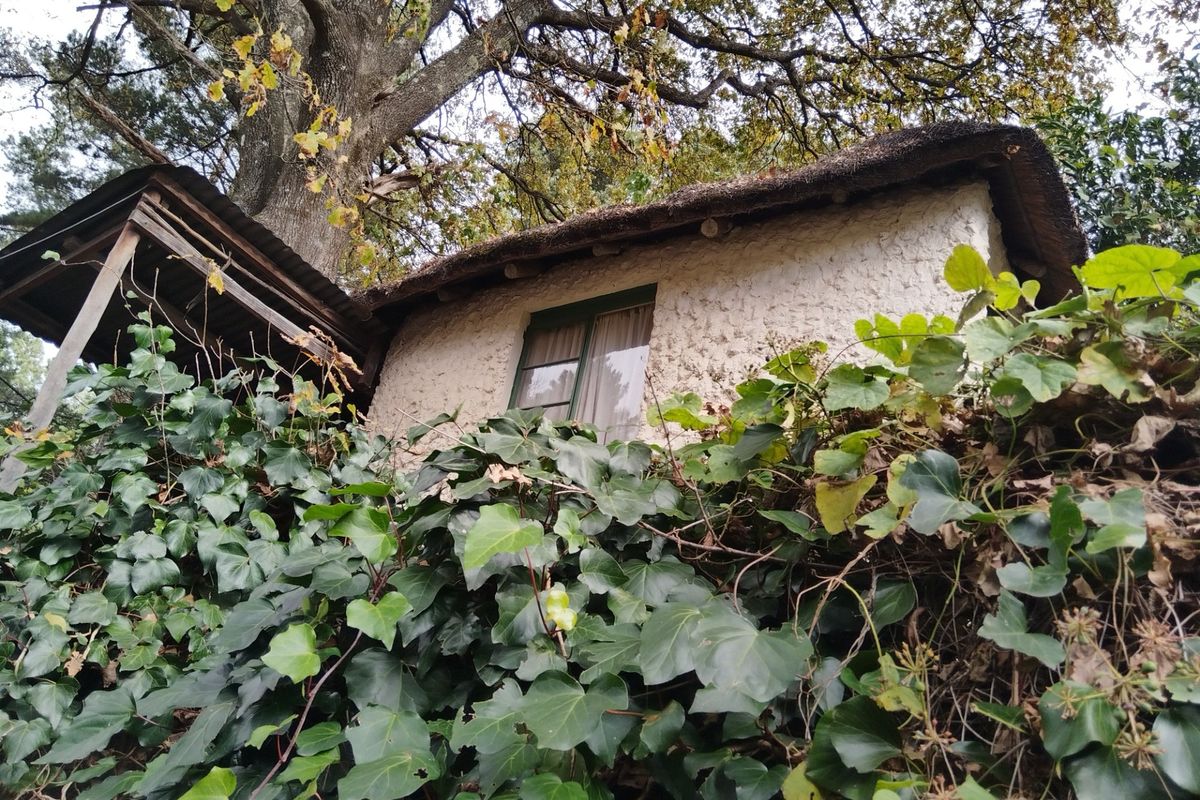 HOGSBACK HOME FOR SALE WITH MAGICAL GARDEN - Photo 4