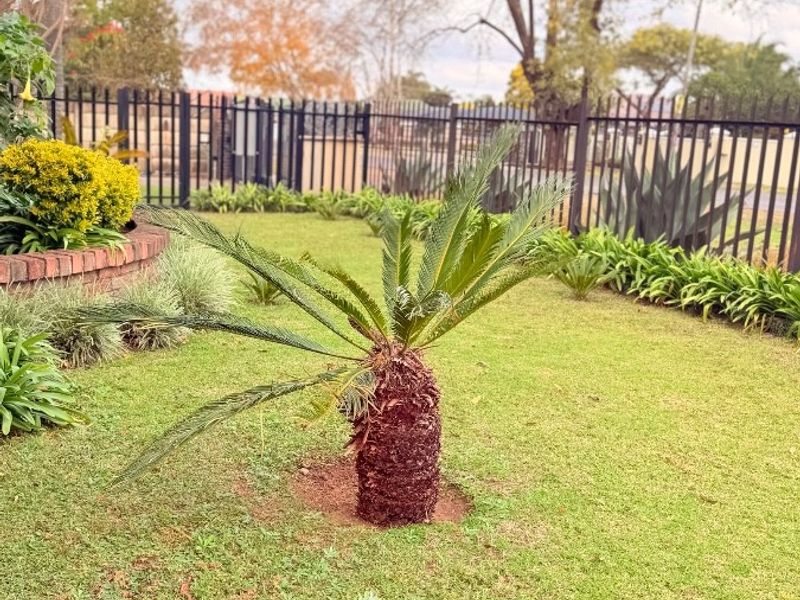 Townhouse For Sale in Vryheid, KwaZulu Natal - Photo 6
