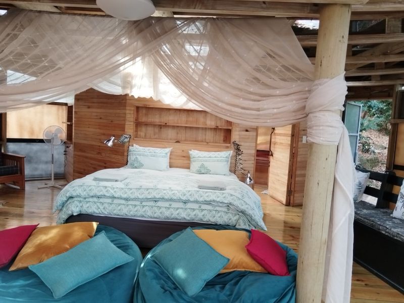 CHARMING INCOME GENERATING PROPERTY FOR SALE IN HOGSBACK - Photo 4