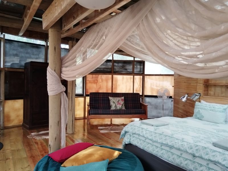 CHARMING INCOME GENERATING PROPERTY FOR SALE IN HOGSBACK - Photo 3