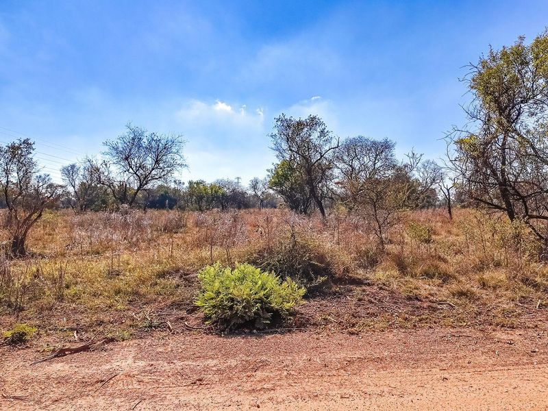 Vacant Land For Sale in Dinokeng Game Reserve, Wonderboom - Photo 9
