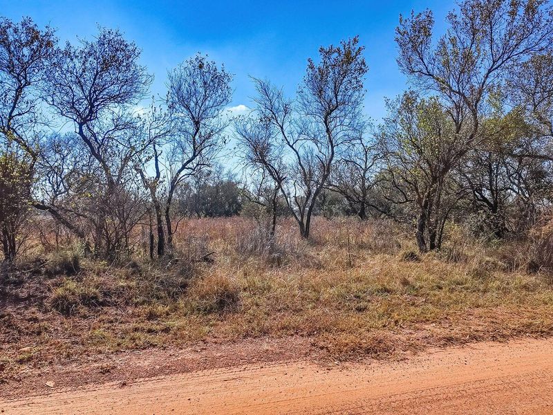 Vacant Land For Sale in Dinokeng Game Reserve, Wonderboom - Photo 7