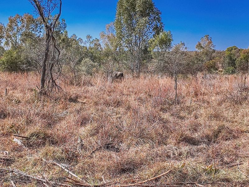 Vacant Land For Sale in Dinokeng Game Reserve, Wonderboom - Photo 6
