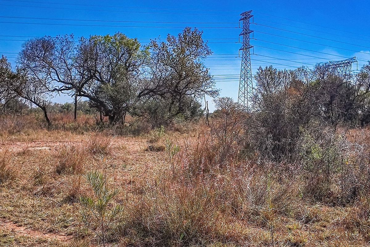 Vacant Land For Sale in Dinokeng Game Reserve, Wonderboom - Photo 4