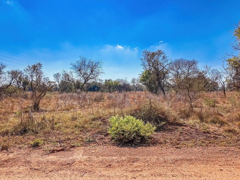 Vacant Land For Sale in Dinokeng Game Reserve, Wonderboom - Photo 10