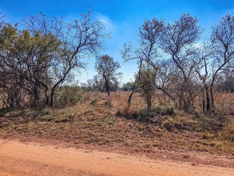Vacant Land For Sale in Dinokeng Game Reserve, Wonderboom - Photo 8