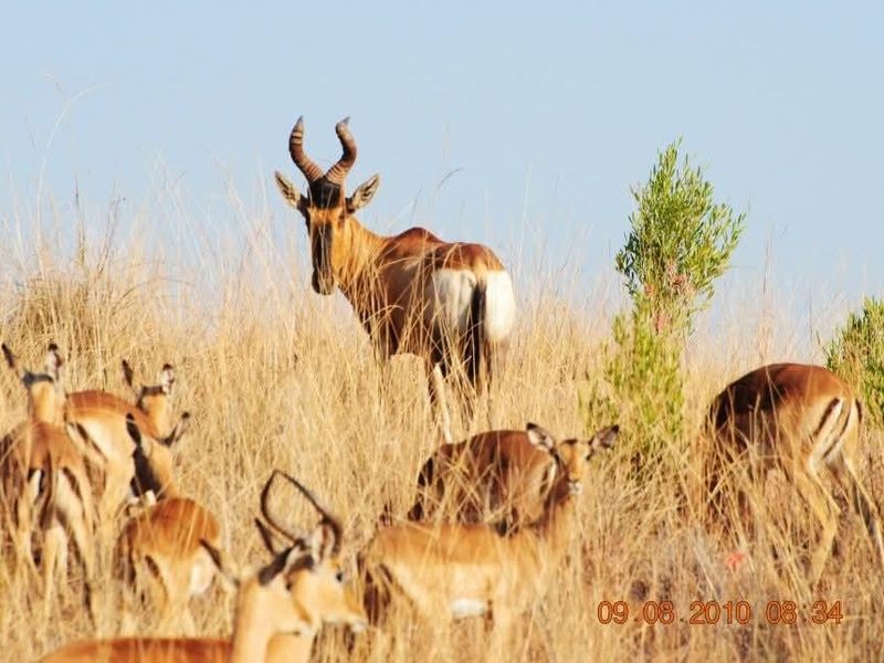 388-Hectare Eco-Tourism Off Grid Lodge / Holiday resort / Game farm - Photo 6