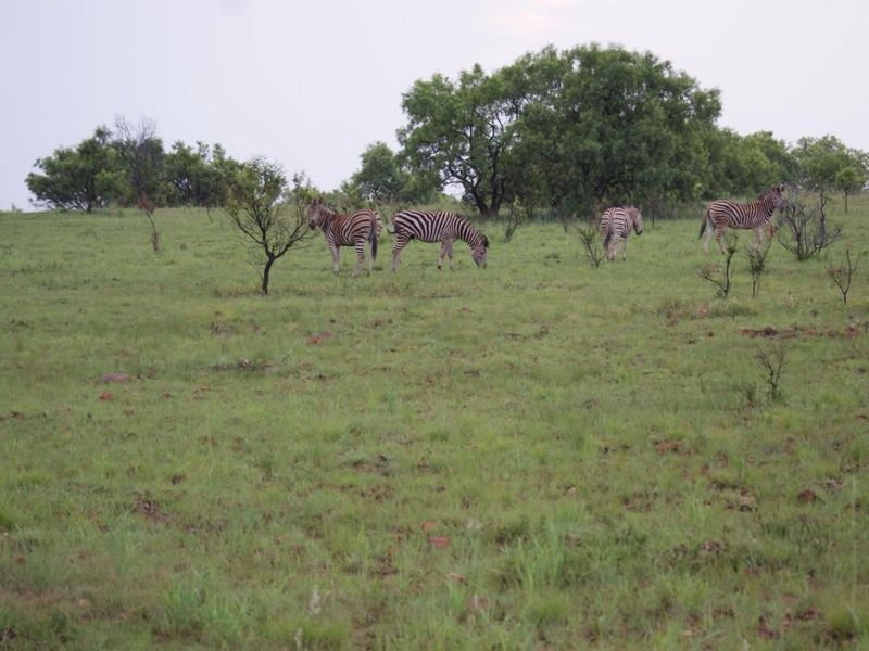 388-Hectare Eco-Tourism Off Grid Lodge / Holiday resort / Game farm - Photo 10