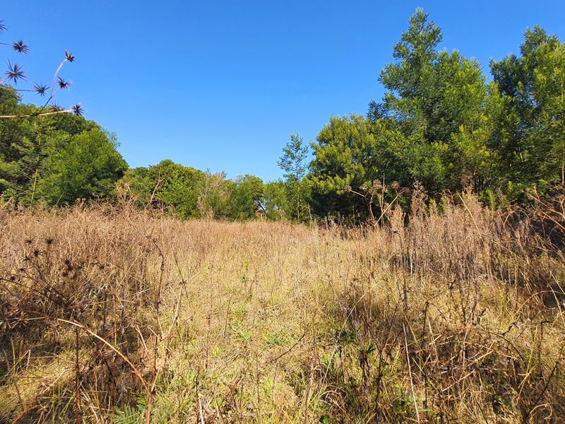 Prime Open Land in Mooikloof - Build Your Dream Home - Photo 8
