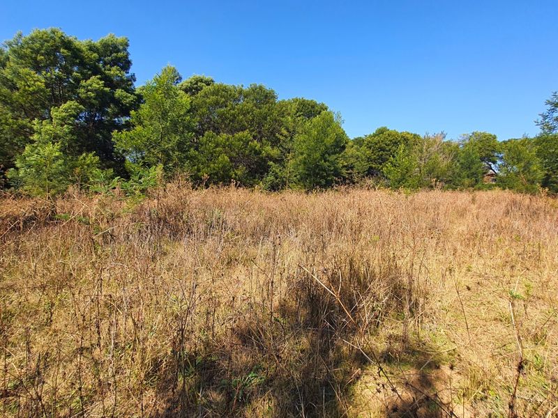 Prime Open Land in Mooikloof - Build Your Dream Home - Photo 7
