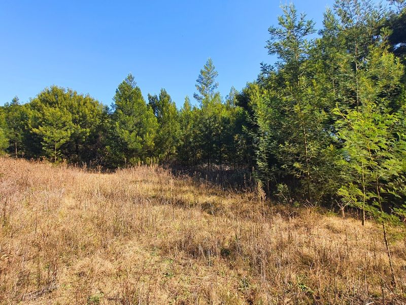 Prime Open Land in Mooikloof - Build Your Dream Home - Photo 2