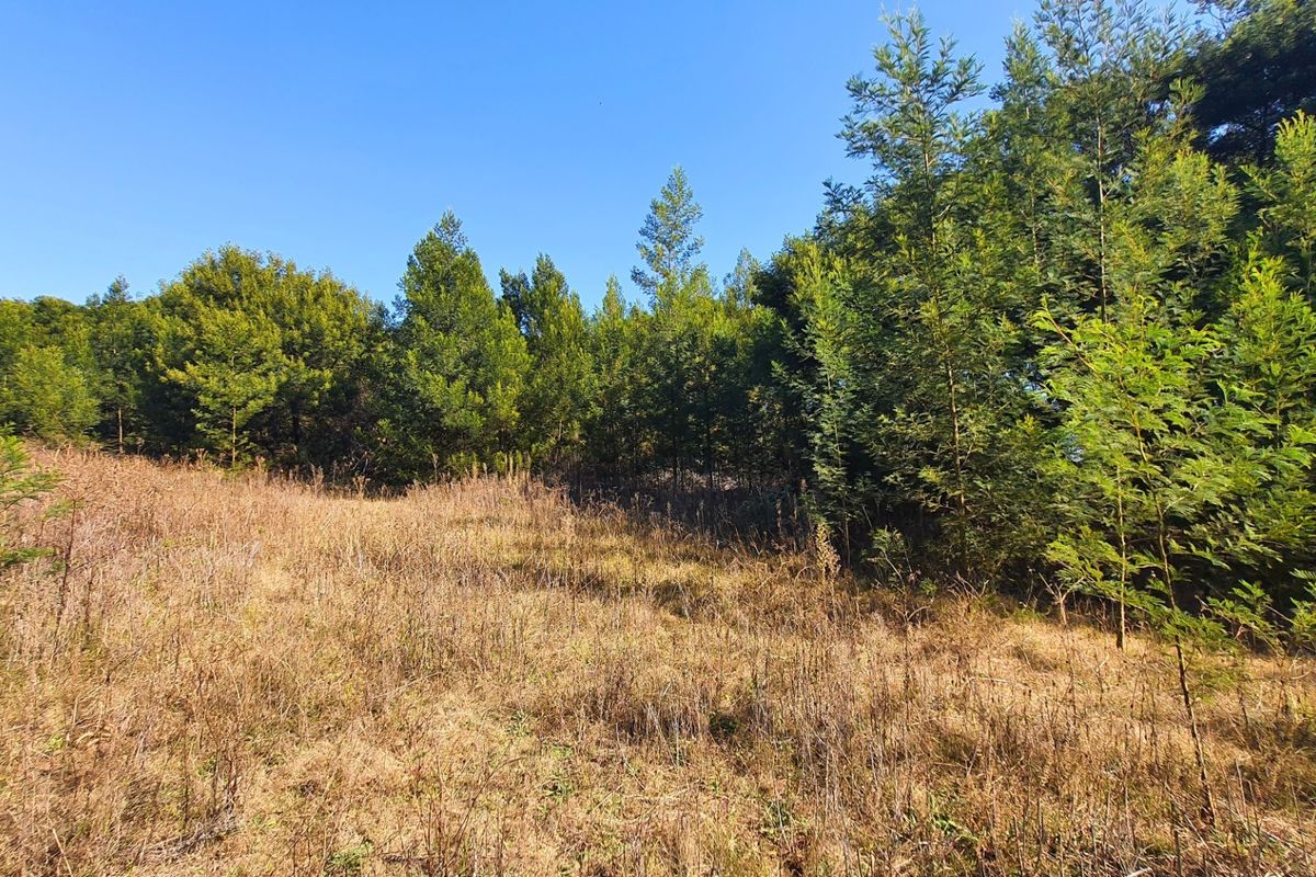 Prime Open Land in Mooikloof - Build Your Dream Home - Photo 2