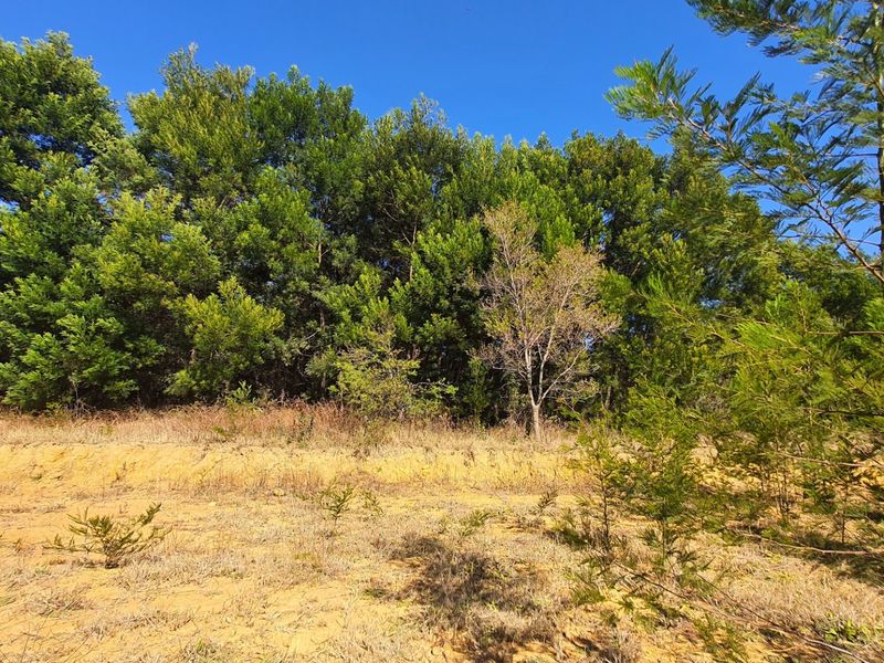 Prime Open Land in Mooikloof - Build Your Dream Home - Photo 3