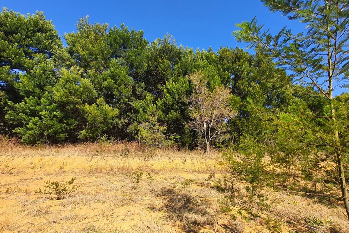 Prime Open Land in Mooikloof - Build Your Dream Home - Photo 3