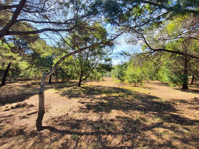 A view of the vacant residential land featuring mature trees and natural vegetation across the property grounds.