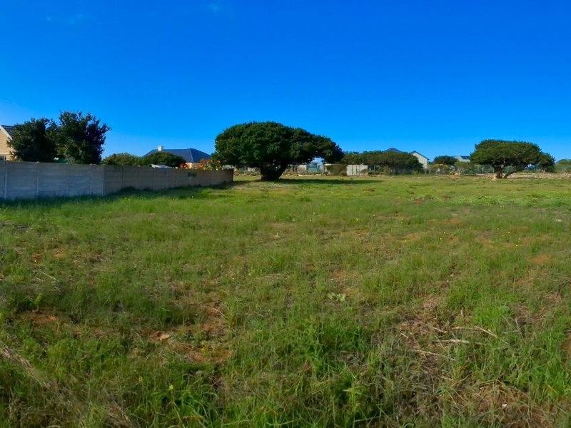 A vacant residential plot featuring perimeter concrete wall fencing and established trees, offering a clear space ready for development.