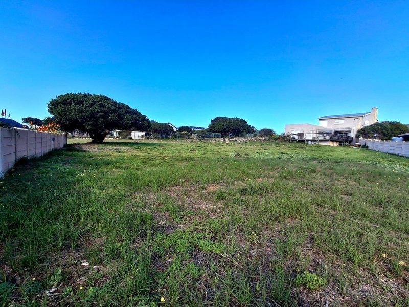 A vacant residential plot of land featuring established trees, perimeter boundary walls, and a clear view of neighboring properties.