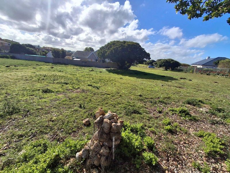 A wide-angle view of a vacant residential plot featuring natural grass, mature trees, and perimeter fencing in a established neighborhood setting.