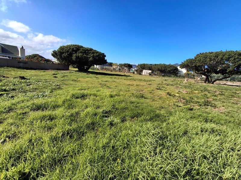 A vacant residential plot featuring established trees, perimeter fencing, and open grassy terrain, offering a blank canvas for future development.