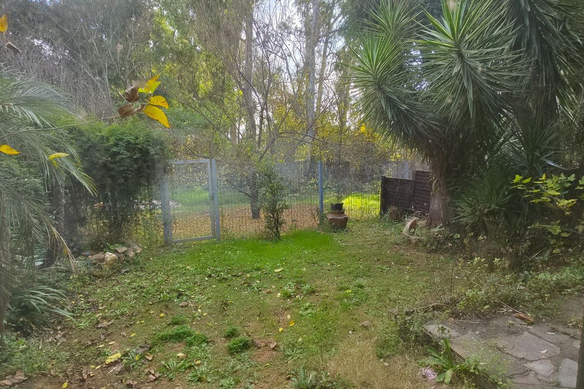 A private rear garden area featuring established trees, mature shrubs, and a perimeter fence, offering a natural outdoor space.