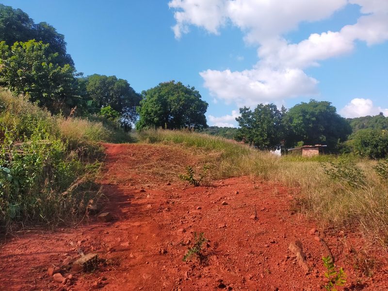 A view of an undeveloped residential plot featuring natural terrain, native trees, and a dirt access path under a clear blue sky.