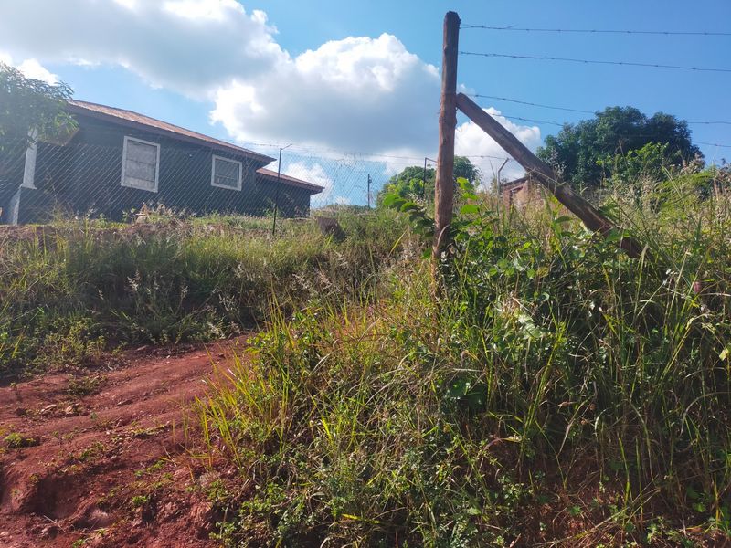 A view of the residential property frontage featuring a dirt access path, overgrown vegetation, and existing perimeter fencing.