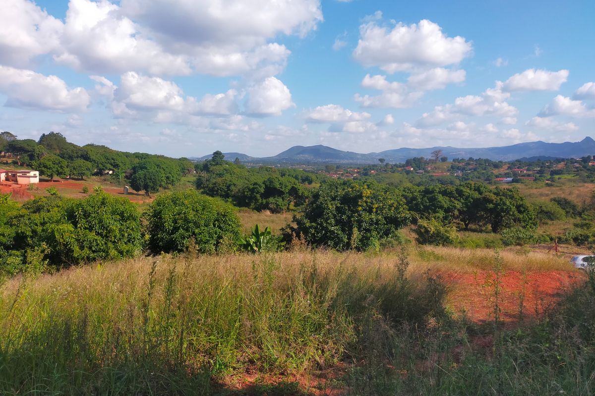 A scenic view overlooking a natural landscape with mature trees, rolling hills, and distant mountains under a clear blue sky.