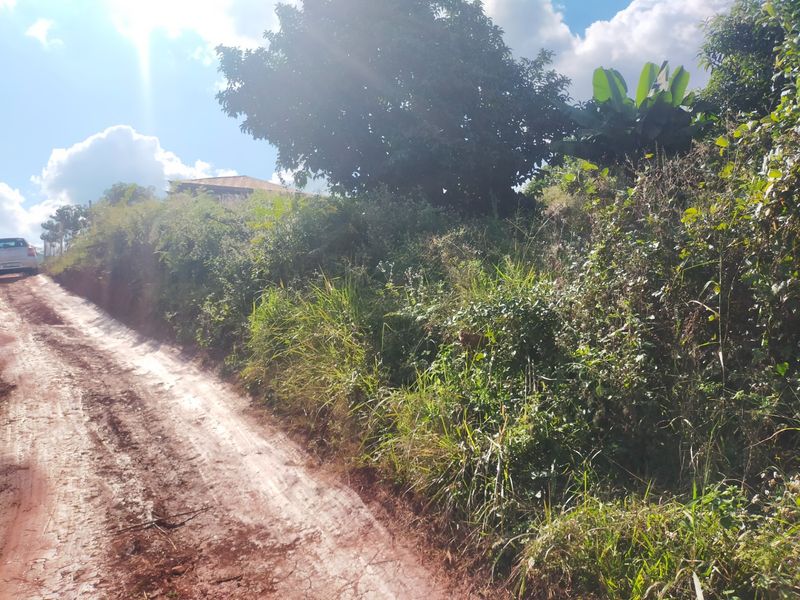 A view of an unpaved dirt road leading to a residential property, surrounded by dense natural vegetation.